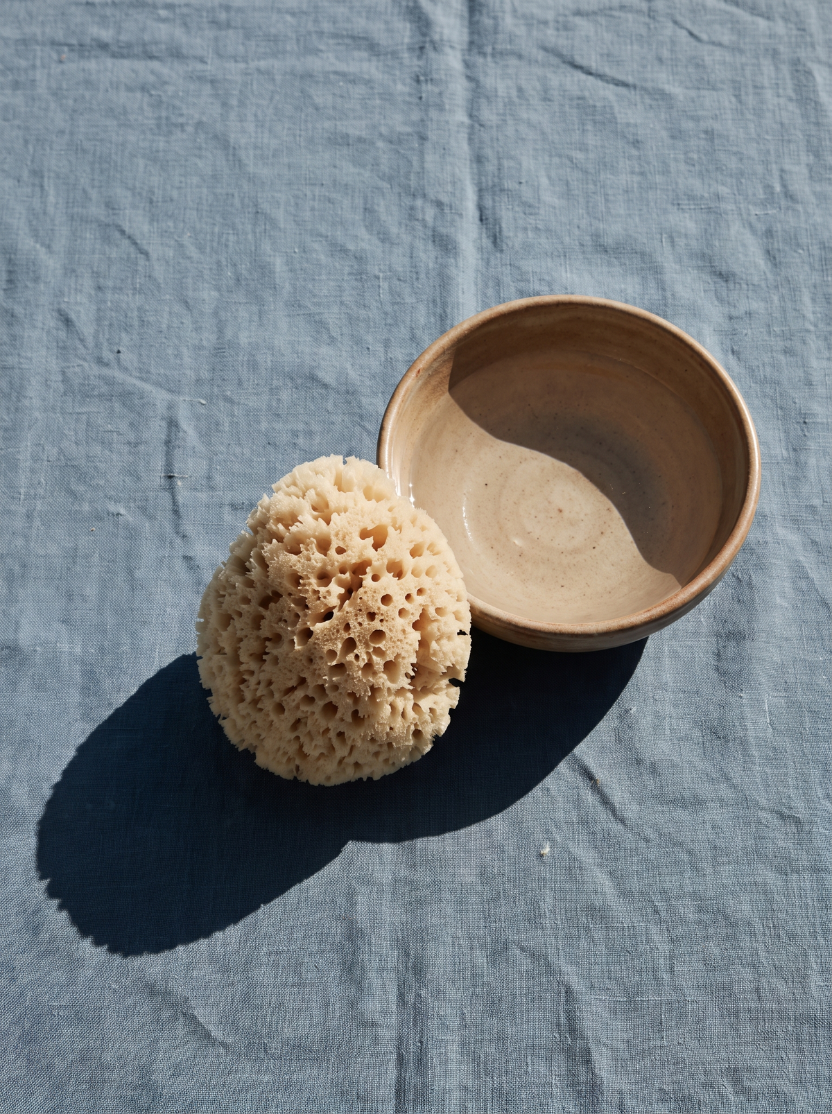 A soft sea sponge beside a shallow bowl of water on a dusty-blue surface