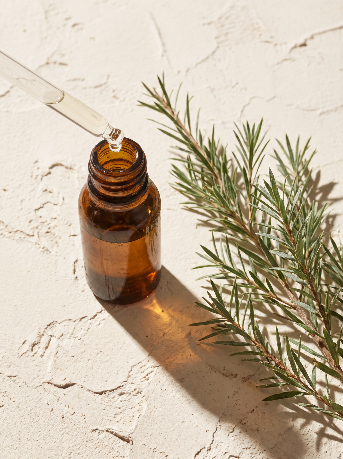 A small amber dropper bottle beside fresh tea tree sprigs on a warm cream surface