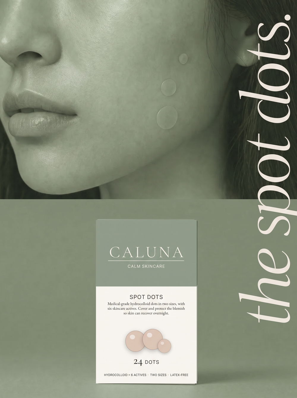 Spot Dots 24 — 24 Dots, Two Sizes