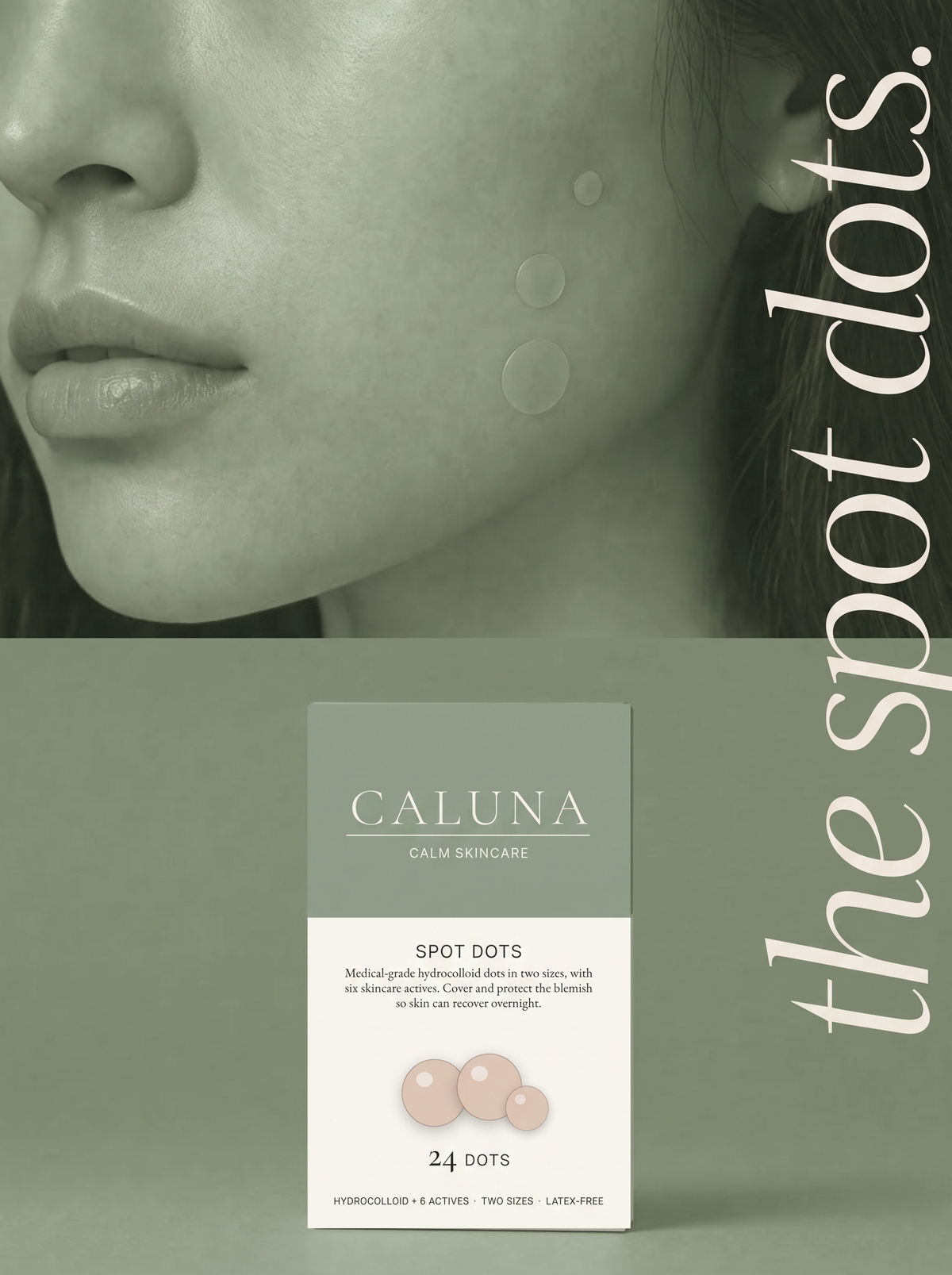 Spot Dots 24 — 24 Dots, Two Sizes